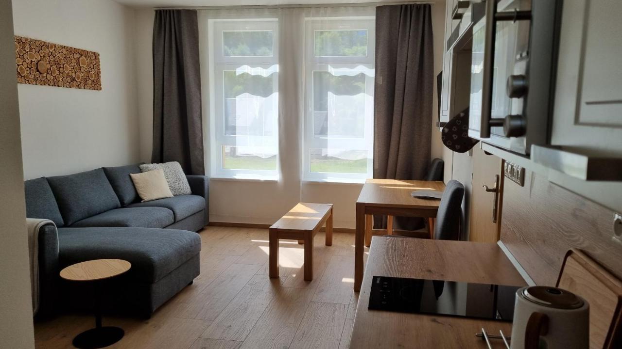 Apartmany Mlynska Horni Marsov Exterior photo