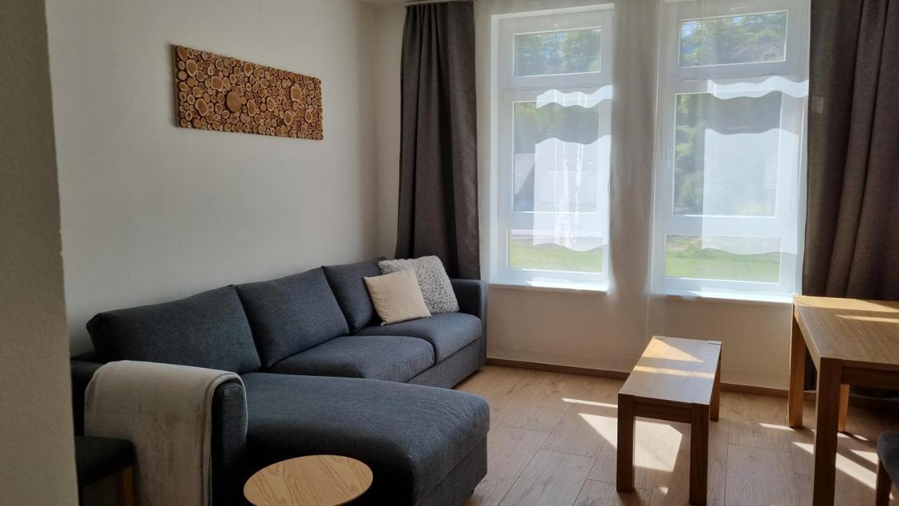 Apartmany Mlynska Horni Marsov Exterior photo